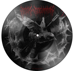 Sick Solution – 1995