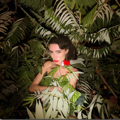 Sasha Norova &ndash; Культурне Диско - фото 1