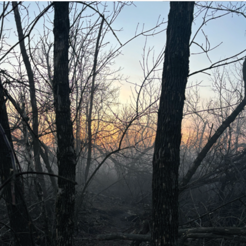 Revenge Group - фото 1