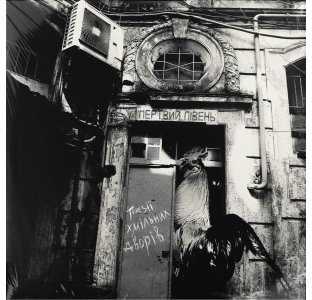 Мертвий Півень – Поезії хмільних дворів