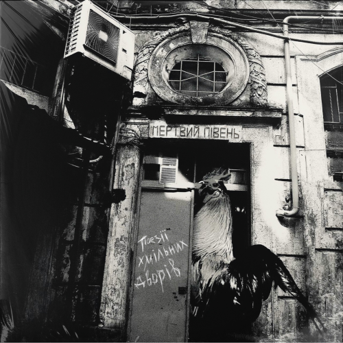 Mertvyi Piven &ndash; Poezii khmilnykh dvoriv - photo 1